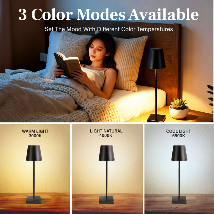 Bell and Howell by Design Nora S/2 Black Modern Dimm Lamps