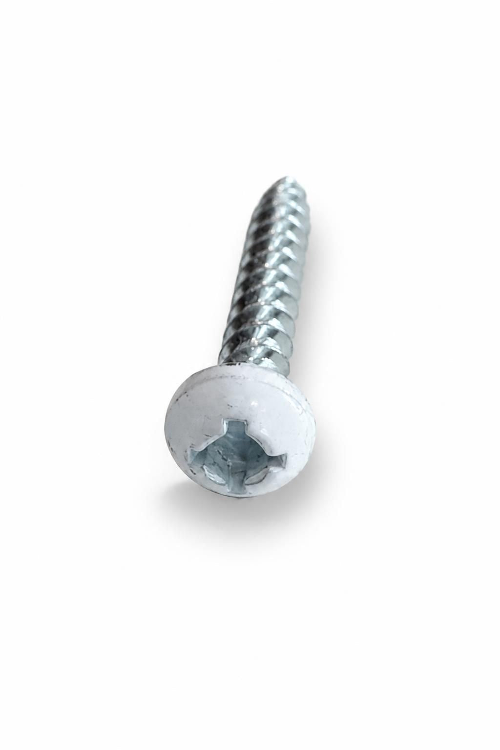 Outdoors RV White Screw 1”